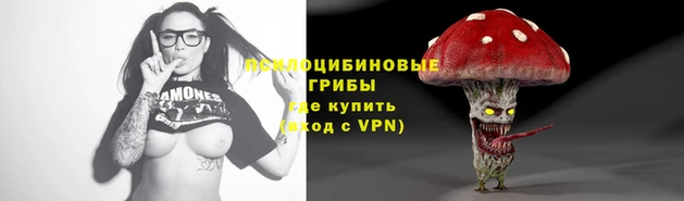 спайс Алзамай
