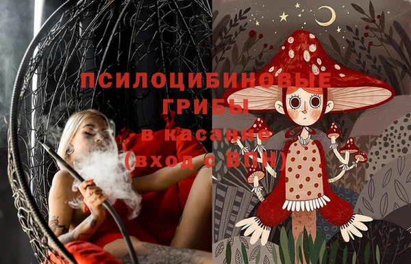 спайс Алзамай
