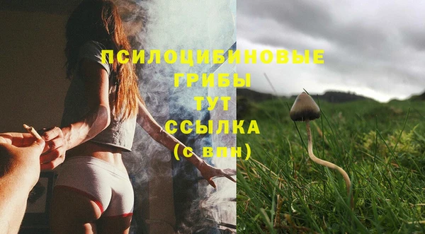 спайс Алзамай