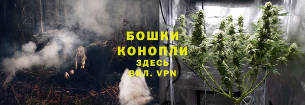 apvp Арсеньев